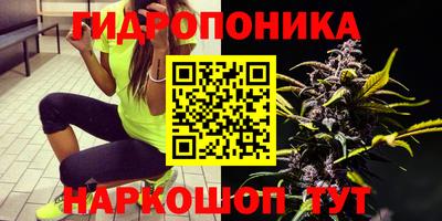 тгк Комсомольск-на-Амуре
