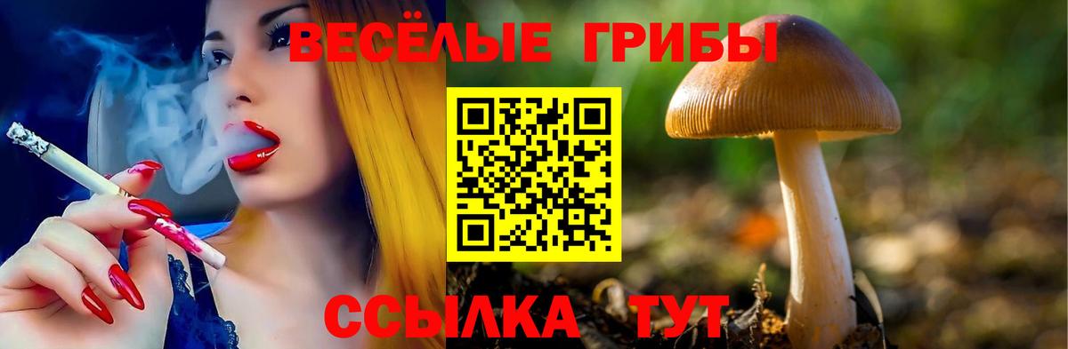 Псилоцибиновые грибы GOLDEN TEACHER  Вход с VPN  Карпинск 